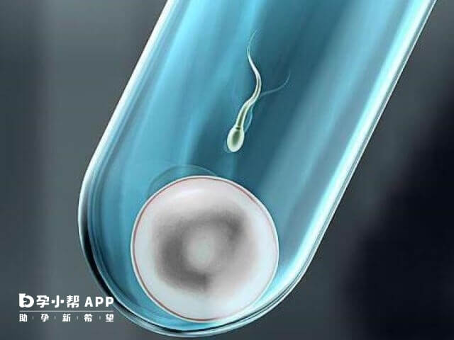 月经期间进行性生活有什么影响 月经期间性生活有什么危害吗